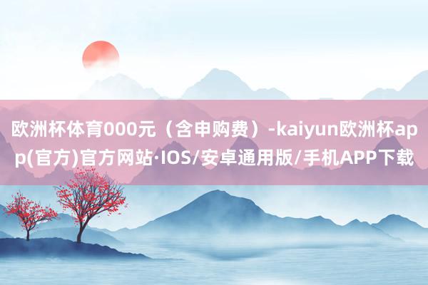 欧洲杯体育000元(含申购费)-kaiyun欧洲杯app(官方)官方网站·IOS/安卓通用版/手机APP下载