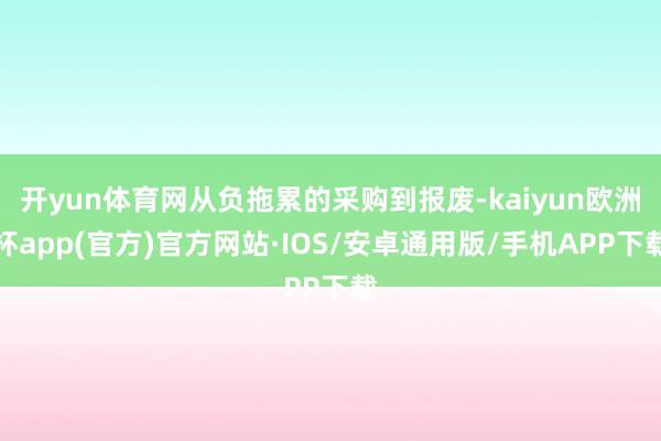 开yun体育网从负拖累的采购到报废-kaiyun欧洲杯app(官方)官方网站·IOS/安卓通用版/手机APP下载