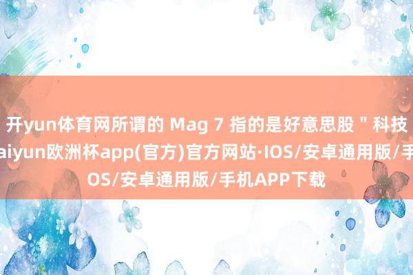 开yun体育网所谓的 Mag 7 指的是好意思股＂科技七巨头＂-kaiyun欧洲杯app(官方)官方网站·IOS/安卓通用版/手机APP下载