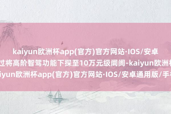 kaiyun欧洲杯app(官方)官方网站·IOS/安卓通用版/手机APP下载通过将高阶智驾功能下探至10万元级阛阓-kaiyun欧洲杯app(官方)官方网站·IOS/安卓通用版/手机APP下载