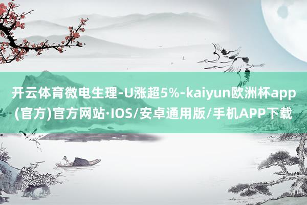 开云体育微电生理-U涨超5%-kaiyun欧洲杯app(官方)官方网站·IOS/安卓通用版/手机APP下载