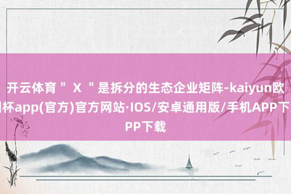 开云体育＂ X ＂是拆分的生态企业矩阵-kaiyun欧洲杯app(官方)官方网站·IOS/安卓通用版/手机APP下载