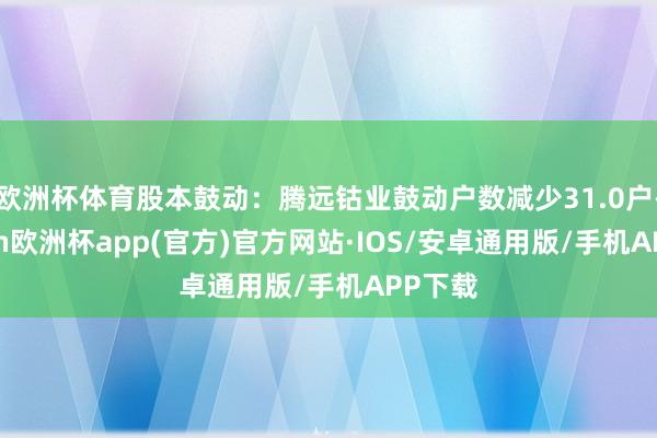 欧洲杯体育股本鼓动：腾远钴业鼓动户数减少31.0户-kaiyun欧洲杯app(官方)官方网站·IOS/安卓通用版/手机APP下载