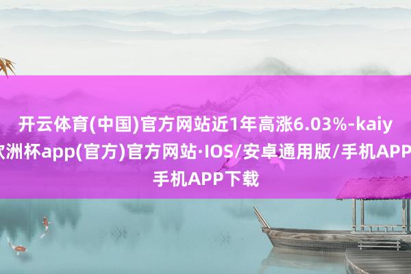 开云体育(中国)官方网站近1年高涨6.03%-kaiyun欧洲杯app(官方)官方网站·IOS/安卓通用版/手机APP下载