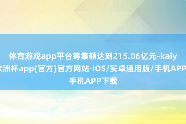 体育游戏app平台筹集额达到215.06亿元-kaiyun欧洲杯app(官方)官方网站·IOS/安卓通用版/手机APP下载