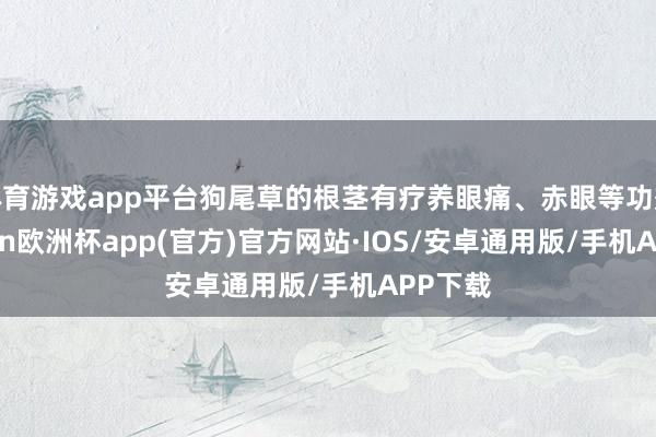 体育游戏app平台狗尾草的根茎有疗养眼痛、赤眼等功效-kaiyun欧洲杯app(官方)官方网站·IOS/安卓通用版/手机APP下载