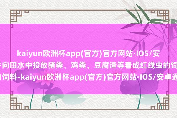 kaiyun欧洲杯app(官方)官方网站·IOS/安卓通用版/手机APP下载并向田水中投放猪粪、鸡粪、豆腐渣等看成红线虫的饲料-kaiyun欧洲杯app(官方)官方网站·IOS/安卓通用版/手机APP下载