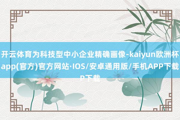 开云体育为科技型中小企业精确画像-kaiyun欧洲杯app(官方)官方网站·IOS/安卓通用版/手机APP下载