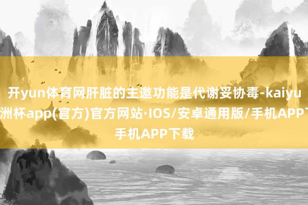 开yun体育网肝脏的主邀功能是代谢妥协毒-kaiyun欧洲杯app(官方)官方网站·IOS/安卓通用版/手机APP下载