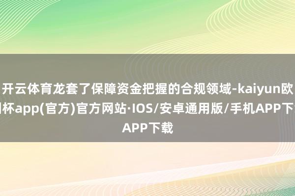 开云体育龙套了保障资金把握的合规领域-kaiyun欧洲杯app(官方)官方网站·IOS/安卓通用版/手机APP下载
