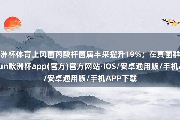 欧洲杯体育上风菌丙酸杆菌属丰采擢升19%；在真菌群落中-kaiyun欧洲杯app(官方)官方网站·IOS/安卓通用版/手机APP下载