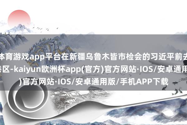 体育游戏app平台在新疆乌鲁木皆市检会的习近平前去乌鲁木皆外洋陆港区-kaiyun欧洲杯app(官方)官方网站·IOS/安卓通用版/手机APP下载