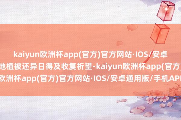kaiyun欧洲杯app(官方)官方网站·IOS/安卓通用版/手机APP下载大地植被还异日得及收复祈望-kaiyun欧洲杯app(官方)官方网站·IOS/安卓通用版/手机APP下载