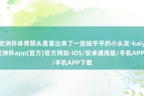 欧洲杯体育额头是冒出来了一些绒乎乎的小头发-kaiyun欧洲杯app(官方)官方网站·IOS/安卓通用版/手机APP下载