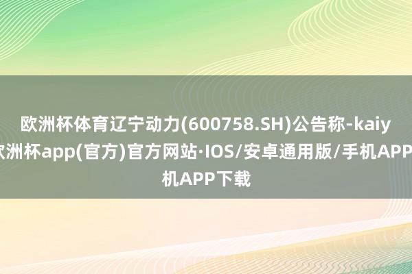 欧洲杯体育辽宁动力(600758.SH)公告称-kaiyun欧洲杯app(官方)官方网站·IOS/安卓通用版/手机APP下载