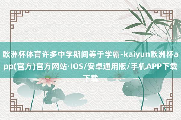 欧洲杯体育许多中学期间等于学霸-kaiyun欧洲杯app(官方)官方网站·IOS/安卓通用版/手机APP下载