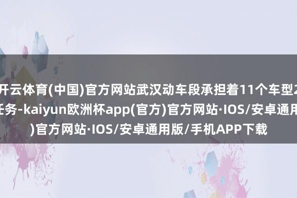 开云体育(中国)官方网站武汉动车段承担着11个车型240组动车的老到任务-kaiyun欧洲杯app(官方)官方网站·IOS/安卓通用版/手机APP下载