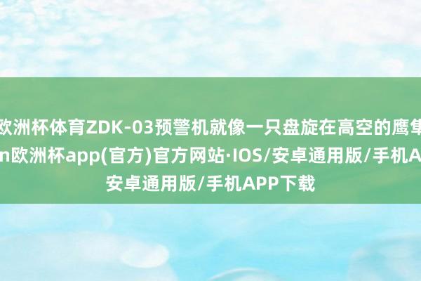欧洲杯体育ZDK-03预警机就像一只盘旋在高空的鹰隼-kaiyun欧洲杯app(官方)官方网站·IOS/安卓通用版/手机APP下载