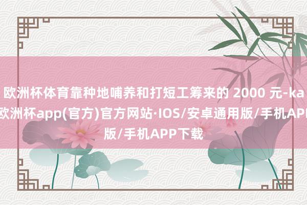 欧洲杯体育靠种地哺养和打短工筹来的 2000 元-kaiyun欧洲杯app(官方)官方网站·IOS/安卓通用版/手机APP下载