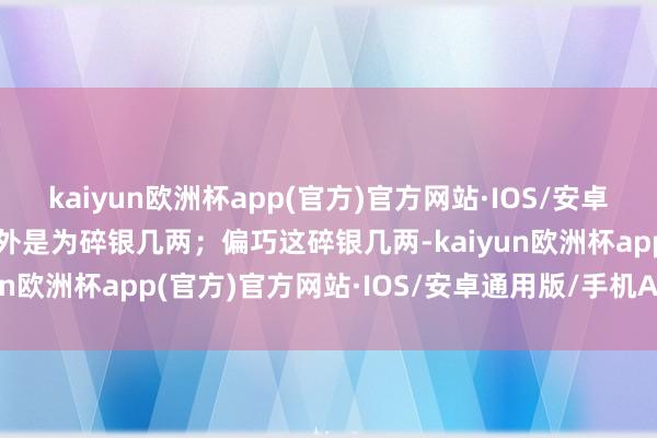 kaiyun欧洲杯app(官方)官方网站·IOS/安卓通用版/手机APP下载不外是为碎银几两；偏巧这碎银几两-kaiyun欧洲杯app(官方)官方网站·IOS/安卓通用版/手机APP下载