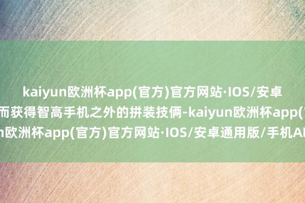 kaiyun欧洲杯app(官方)官方网站·IOS/安卓通用版/手机APP下载从而获得智高手机之外的拼装技俩-kaiyun欧洲杯app(官方)官方网站·IOS/安卓通用版/手机APP下载