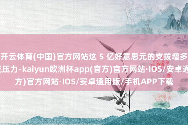 开云体育(中国)官方网站这 5 亿好意思元的支拨增多可能会对现款流变成压力-kaiyun欧洲杯app(官方)官方网站·IOS/安卓通用版/手机APP下载