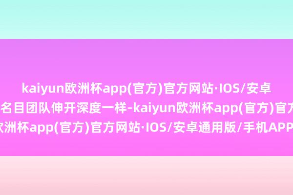 kaiyun欧洲杯app(官方)官方网站·IOS/安卓通用版/手机APP下载与名目团队伸开深度一样-kaiyun欧洲杯app(官方)官方网站·IOS/安卓通用版/手机APP下载