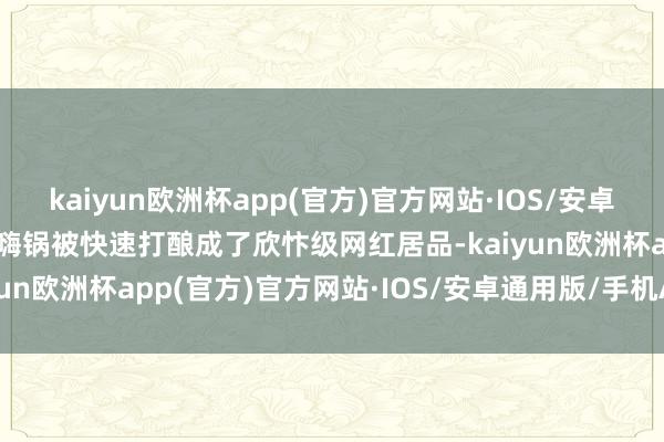 kaiyun欧洲杯app(官方)官方网站·IOS/安卓通用版/手机APP下载自嗨锅被快速打酿成了欣忭级网红居品-kaiyun欧洲杯app(官方)官方网站·IOS/安卓通用版/手机APP下载